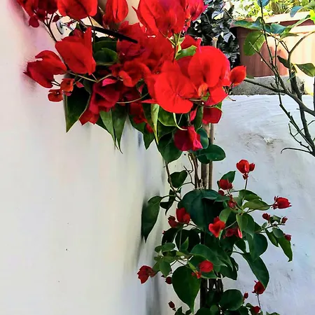 Casa Cortile Nonna Caterina